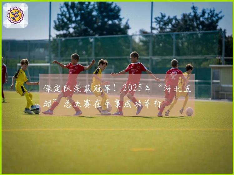 保定队荣获冠军！2025年“河北五超”总决赛在辛集成功举行