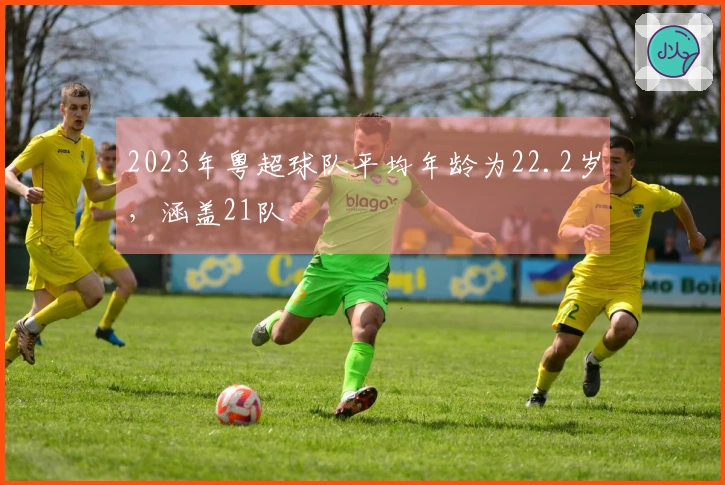 2023年粤超球队平均年龄为22.2岁，涵盖21队